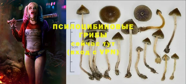 Альфа ПВП Абаза