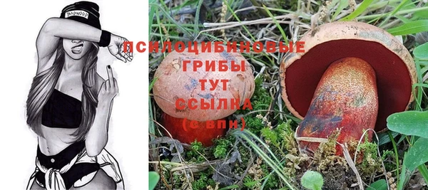 скорость Алексин
